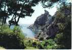 CPSM.   LA CIOTAT. A Travers Les Pins. Une Vue Sur La CALANQUE DE FIGUEROLLES Et Le ROCHER DES CAPUCINS. 1970. - La Ciotat