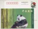 Giant Panda,China 1998 The 22th UPU Congress Advertising Pre-stamped Card - U.P.U.