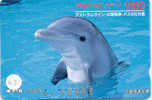 DELPHIN Dolfijn DOLPHIN Dauphin Auf Metro Karte (67) - Delfini