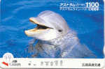 DELPHIN Dolfijn DOLPHIN Dauphin Auf Metro Karte (74) - Delfini