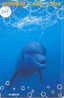 DELPHIN Dolfijn DOLPHIN Dauphin Auf Metro Karte (204) - Dolphins