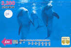 DELPHIN Dolfijn DOLPHIN Dauphin Auf Metro Karte (210) - Dolfijnen