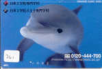 DELPHIN Dolfijn DOLPHIN Dauphin Auf Metro Karte (261) - Delfini
