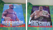 WWE Poster Hulk Hogan Big Show WRESTLING - Kleding, Souvenirs & Andere