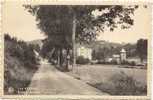 Erezée - Pont D'Erezée - Route De Barvaux - Erezée