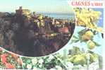 06 - Cagnes Sur Mer : Vue Entourée De Fleurs - Cagnes-sur-Mer