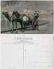 Yemen: Aden, Camel Cart. Old And Vintage Postcard - Yemen