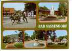 GERMANY POSTCARD - BAD SASSENDORF Views - Bad Sassendorf