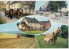 La Ferme (b894) - Farms