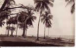 CPSM Noir Et Blanc De Guinée: Conakry La Corniche - Guinea