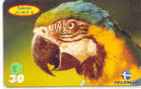 PERROQUET Parrot PAPAGEI Papagaai Telecarte (8) - Parrots