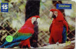 PERROQUET Parrot PAPAGEI Papagaai Telecarte (33) - Loros