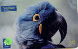PERROQUET Parrot PAPAGEI Papagaai Telecarte (36) - Loros