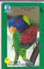 PERROQUET Parrot PAPAGEI Papagaai Telecarte (59) - Papageien