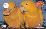 PERROQUET Parrot PAPAGEI Papagaai Telecarte (81) - Loros