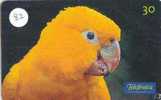 PERROQUET Parrot PAPAGEI Papagaai Telecarte (82) - Parrots