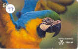 PERROQUET Parrot PAPAGEI Papagaai Telecarte (97) - Parrots