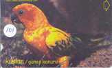 PERROQUET Parrot PAPAGEI Papagaai Telecarte (101) - Papageien