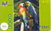 PERROQUET Parrot PAPAGEI Papagaai Telecarte (137) - Papegaaien & Parkieten