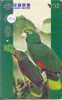 PERROQUET Parrot PAPAGEI Papagaai Telecarte (154) - Papageien