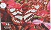 PAPILLON Butterfly SCHMETTERLING VlinderTelecarte (39) - Papillons