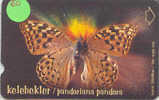 PAPILLON Butterfly SCHMETTERLING VlinderTelecarte (60) - Papillons