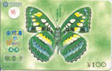 PAPILLON Butterfly SCHMETTERLING VlinderTelecarte (76) - Mariposas