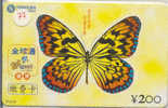 PAPILLON Butterfly SCHMETTERLING VlinderTelecarte (77) - Butterflies