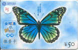 PAPILLON Butterfly SCHMETTERLING VlinderTelecarte (78) - Papillons