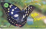 PAPILLON Butterfly SCHMETTERLING VlinderTelecarte (140) - Papillons