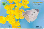 PAPILLON Butterfly SCHMETTERLING VlinderTelecarte (151) - Vlinders