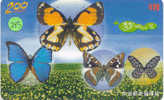 PAPILLON Butterfly SCHMETTERLING VlinderTelecarte (245) - Farfalle