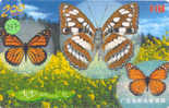 PAPILLON Butterfly SCHMETTERLING VlinderTelecarte (247) - Papillons