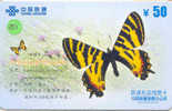 PAPILLON Butterfly SCHMETTERLING VlinderTelecarte (251) - Butterflies