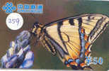 PAPILLON Butterfly SCHMETTERLING VlinderTelecarte (259) - Butterflies