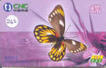PAPILLON Butterfly SCHMETTERLING VlinderTelecarte (262) - Vlinders