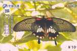 PAPILLON Butterfly SCHMETTERLING VlinderTelecarte (286) - Papillons