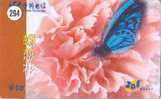 PAPILLON Butterfly SCHMETTERLING VlinderTelecarte (294) - Papillons