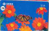 PAPILLON Butterfly SCHMETTERLING VlinderTelecarte (298) - Farfalle