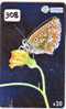 PAPILLON Butterfly SCHMETTERLING VlinderTelecarte (308) - Farfalle