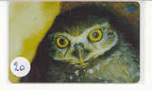 HIBOU Owl EULE Uil  Telecarte (20) - Águilas & Aves De Presa