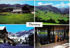 Carte Postale De Suisse  Charmey Les 4 Saisons - Charmey