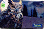 HIBOU Owl EULE Uil  Telecarte (74) - Águilas & Aves De Presa