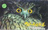HIBOU Owl EULE Uil  Telecarte (82) - Eagles & Birds Of Prey