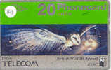 HIBOU Owl EULE Uil  Telecarte (101) - Eagles & Birds Of Prey