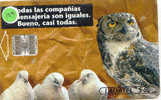 HIBOU Owl EULE Uil  Telecarte (103) - Arenden & Roofvogels