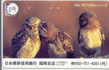 HIBOU Owl EULE Uil  Telecarte (119) - Eagles & Birds Of Prey