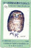 HIBOU Owl EULE Uil  Telecarte (124) - Arenden & Roofvogels