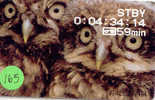 OWLHIBOU EULE Uil On Phonecard (165) - Hiboux & Chouettes