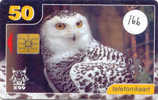 OWLHIBOU EULE Uil On Phonecard (166) - Eulenvögel